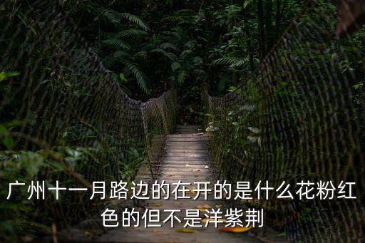 廣州一種粉紅色像玫瑰形狀的樹，廣東 惠州 西湖旁邊開得粉紅色花的樹是什么樹