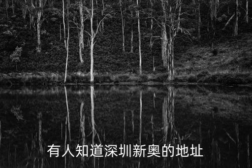 深圳聯合華鵬汽車市場，有人知道深圳新奧的地址