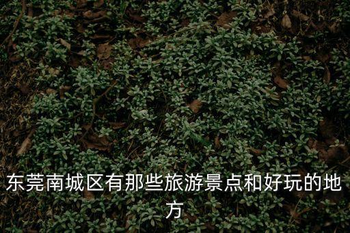 東莞南城區有那些旅游景點和好玩的地方
