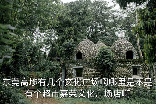 東莞文化廣場圖，東莞有幾個文化廣場