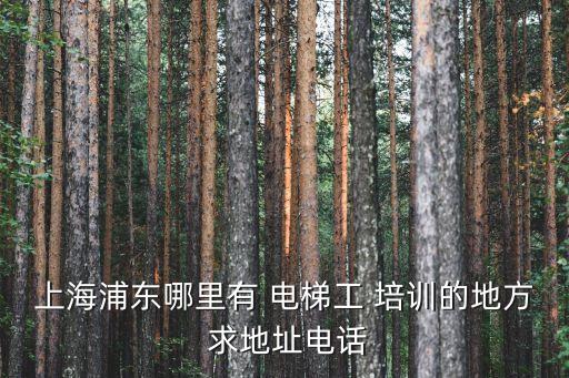 上海浦東哪里有 電梯工 培訓的地方 求地址電話