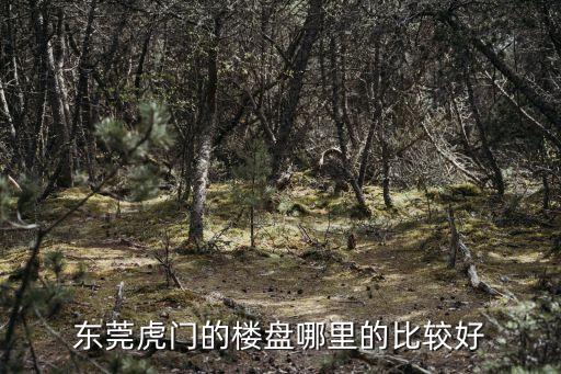 東莞新聯最好的小區樓盤，東莞買房哪個樓盤好啊