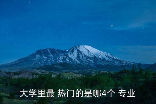 大學(xué)里最 熱門的是哪4個(gè) 專業(yè)