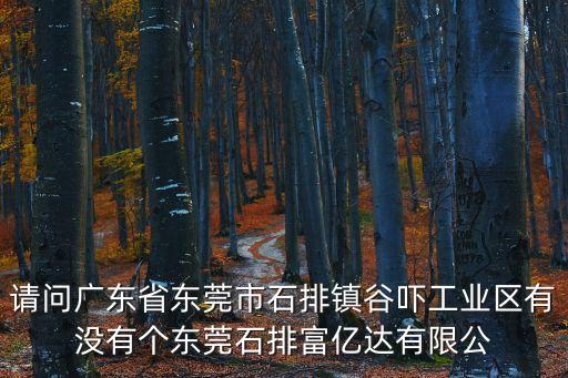 請問廣東省東莞市石排鎮谷嚇工業區有沒有個東莞石排富億達有限公