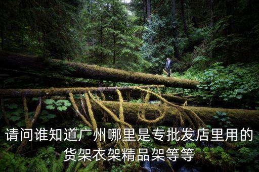 請問誰知道廣州哪里是專批發店里用的貨架衣架精品架等等
