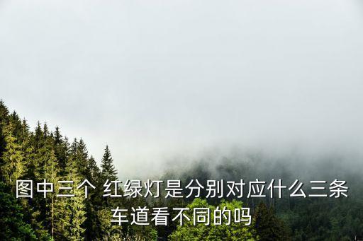 圖中三個 紅綠燈是分別對應(yīng)什么三條車道看不同的嗎