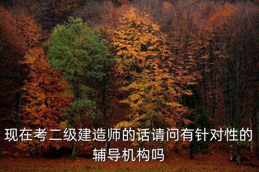 現在考二級建造師的話請問有針對性的輔導機構嗎