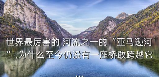世界最厲害的 河流之一的“亞馬遜河”,為什么至今仍沒有一座橋敢跨越它...