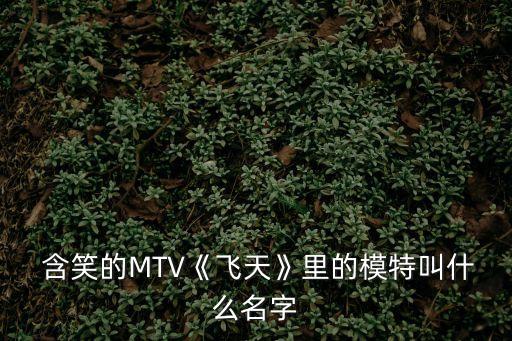  含笑的MTV《飛天》里的模特叫什么名字
