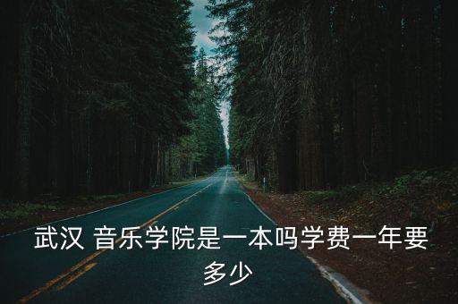  武漢 音樂學院是一本嗎學費一年要多少