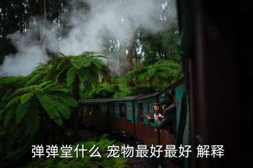 彈彈堂寵物,彈彈堂寵物洗髓在哪里?