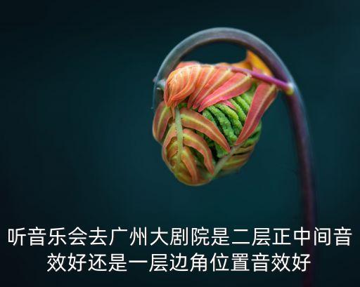 聽音樂會去廣州大劇院是二層正中間音效好還是一層邊角位置音效好