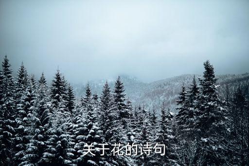 和花有關的詩句，關于花的詩句