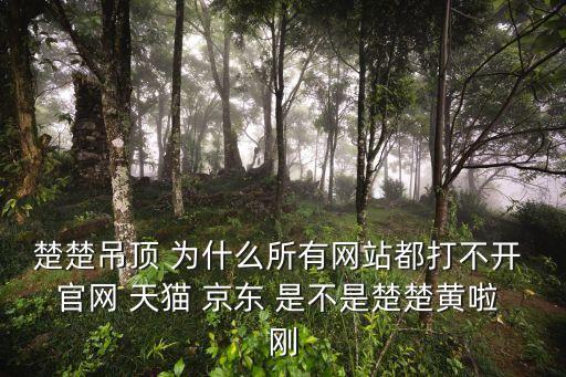 楚楚吊頂 為什么所有網站都打不開 官網 天貓 京東 是不是楚楚黃啦 剛