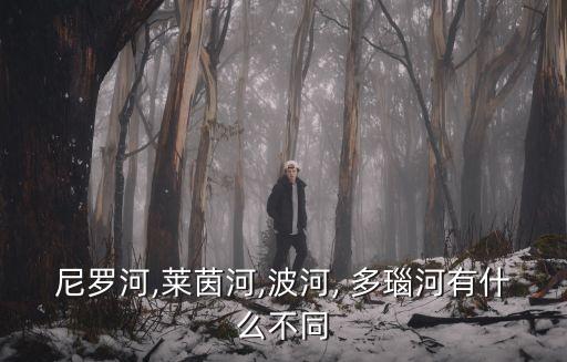 尼羅河,萊茵河,波河, 多瑙河有什么不同