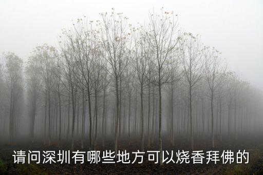 請問深圳有哪些地方可以燒香拜佛的