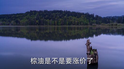 棕油是不是要漲價(jià)了