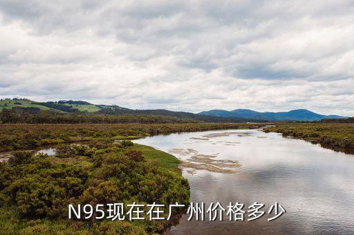 N95現在在廣州價格多少
