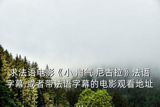 小淘氣尼古拉,小淘氣尼古拉的故事1主要講的是小學生和他同學的愛與汗