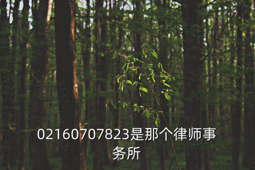 上海市漢之光華律師事務所，漢之光華怎么樣