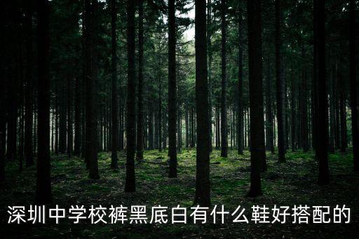 深圳中學校褲黑底白有什么鞋好搭配的