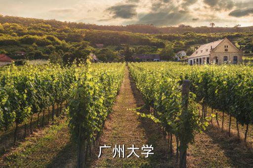 廣州大學(xué)中國近代史慕課答案，廣州大學(xué)