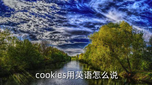 cookies怎么讀,關(guān)于cookie你必須知道的事情