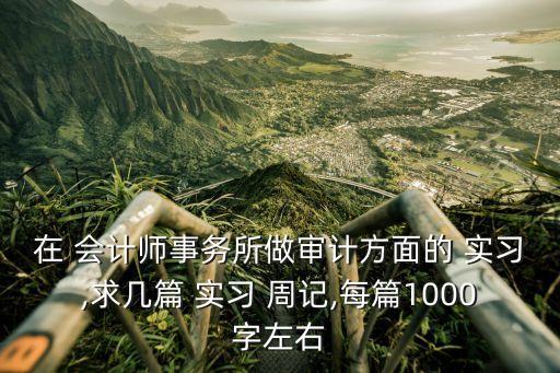 會(huì)計(jì)實(shí)習(xí)周記