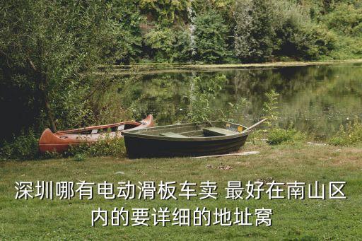 深圳哪有電動滑板車賣 最好在南山區內的要詳細的地址窩