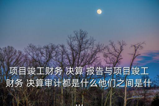 項目竣工財務 決算 報告與項目竣工財務 決算審計都是什么他們之間是什...
