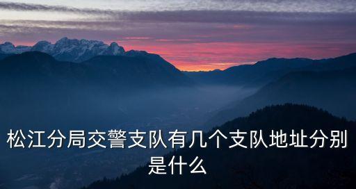 松江分局交警支隊(duì)有幾個(gè)支隊(duì)地址分別是什么