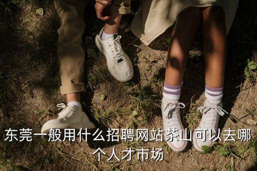 東莞一般用什么招聘網(wǎng)站茶山可以去哪個人才市場