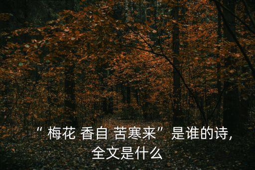 梅花香自苦寒