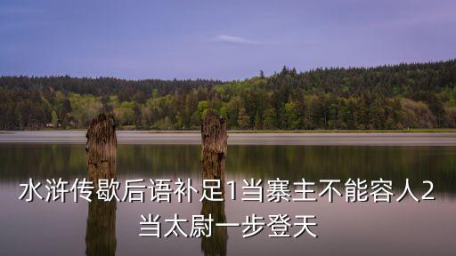 水滸傳歇后語補足1當寨主不能容人2當太尉一步登天