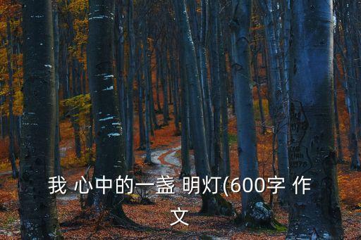 我 心中的一盞 明燈(600字 作文