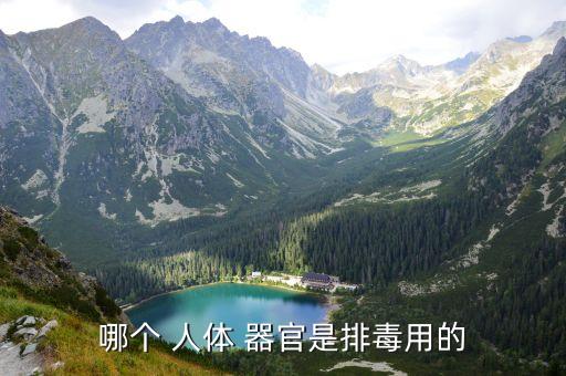 人體最大的解毒器官是,人體最大的活動方式是反思