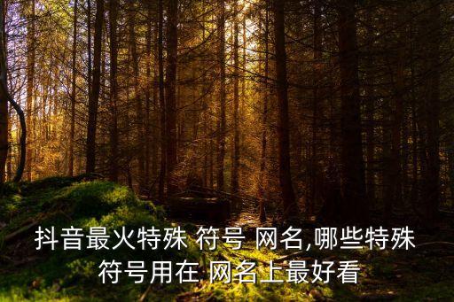 抖音最火特殊 符號 網名,哪些特殊 符號用在 網名上最好看