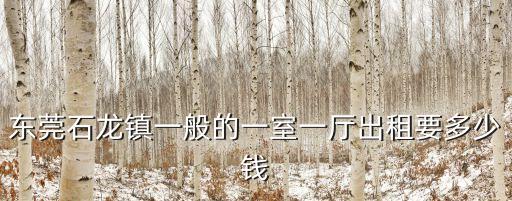 東莞石龍鎮一般的一室一廳出租要多少錢