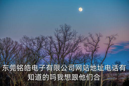 東莞市銘科電子廠，東莞銘捷電子有限公司是做什么的