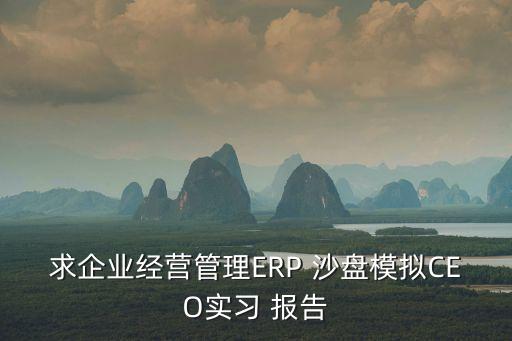 沙盤實訓報告,沙盤模擬實訓心得體會