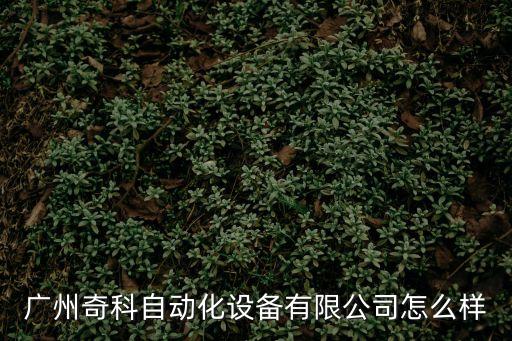 廣州奇科自動化設備有限公司怎么樣