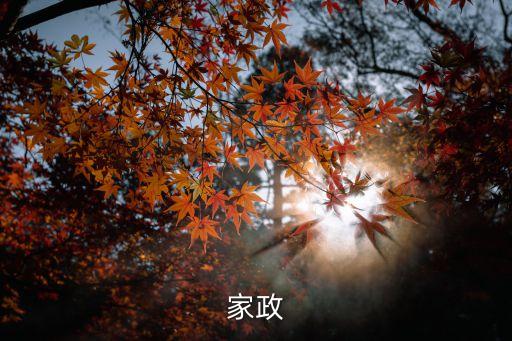 家政
