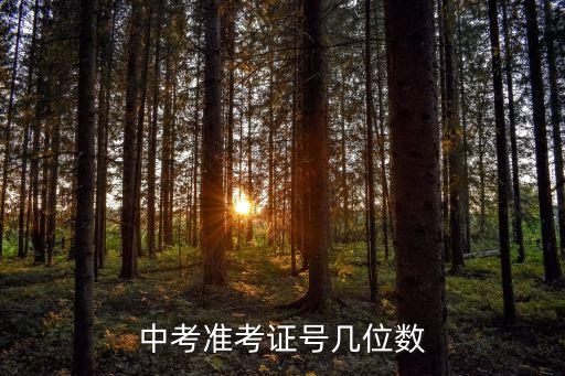 深圳中考準(zhǔn)考證號，怎么查詢中考準(zhǔn)考證號