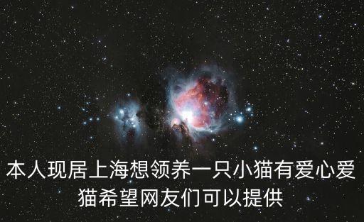 本人現居上海想領養一只小貓有愛心愛貓希望網友們可以提供