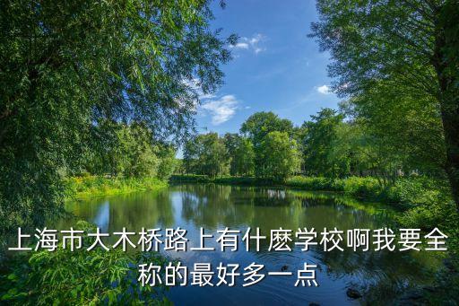 上海市大木橋路上有什麼學校啊我要全稱的最好多一點