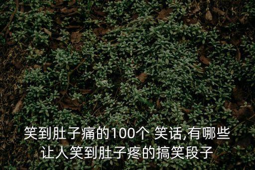 笑話100,笑話大全哄女朋友開心