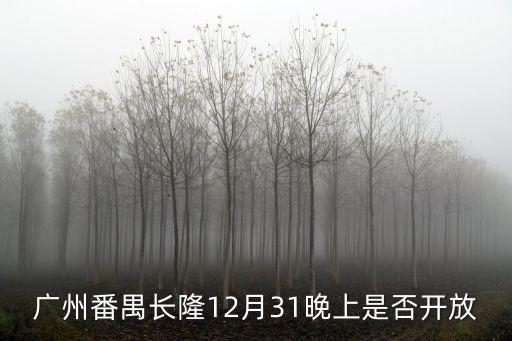 廣州番禺長隆12月31晚上是否開放