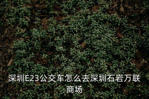 深圳E23公交車怎么去深圳石巖萬(wàn)聯(lián)商場(chǎng)