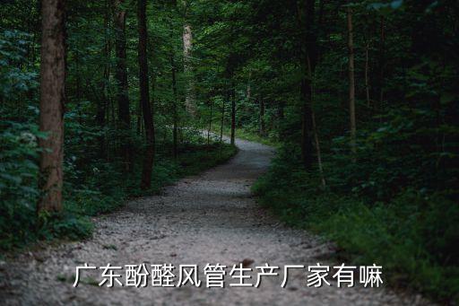 廣東酚醛風(fēng)管生產(chǎn)廠家有嘛