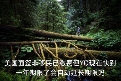 美國面簽非移民已繳費但YQ現在快到一年期限了會自動延長期限嗎